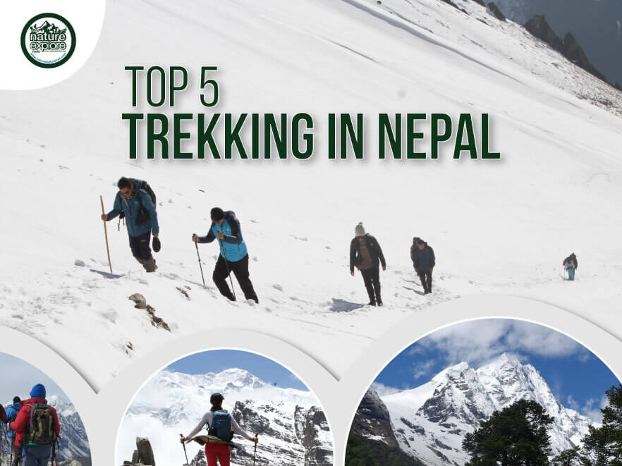 Top 5 Trekking in Nepal